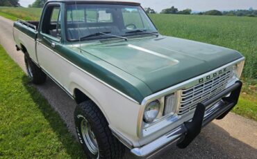 Dodge-w-10-1978-green-3