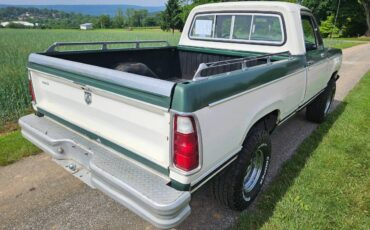 Dodge-w-10-1978-green-4