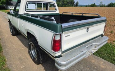 Dodge-w-10-1978-green-5