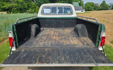 Dodge-w-10-1978-green-6