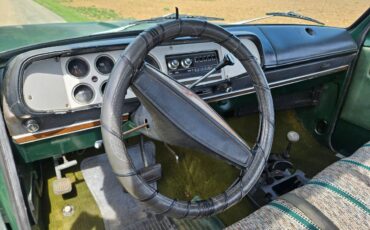 Dodge-w-10-1978-green-7