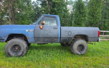 Dodge-w-150-1987-3
