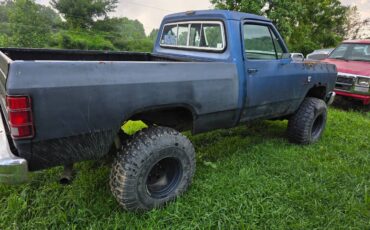 Dodge-w-150-1987-4