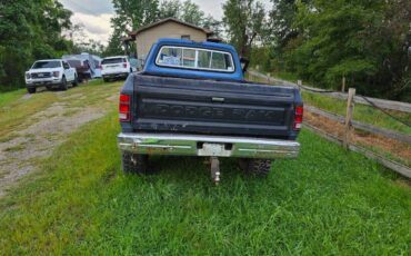Dodge-w-150-1987-9