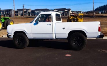 Dodge-w150-1978-white-13