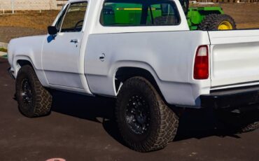 Dodge-w150-1978-white-17