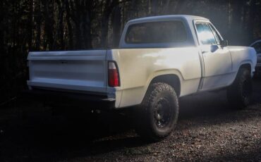 Dodge-w150-1978-white-18