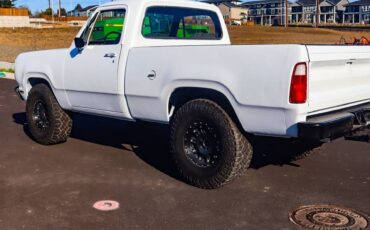 Dodge-w150-1978-white-19