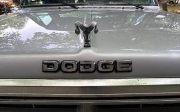 Dodge-w150-1990-silver-6