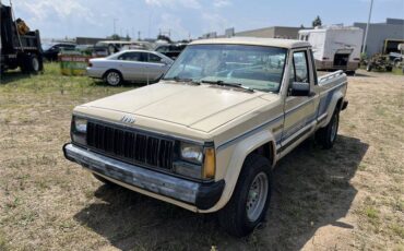 Dodge-w200-1976-21
