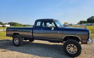 Dodge-w250-1990-6