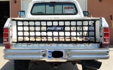 Dodge-w250-diesel-1992-white-3