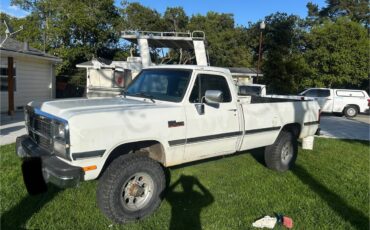Dodge-w250-diesel-1992-white-8