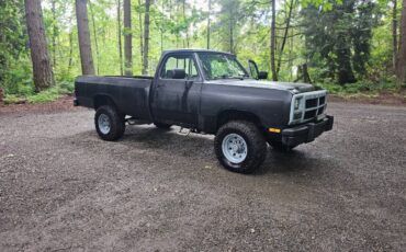 Dodge-w250-diesel-1993-black-1