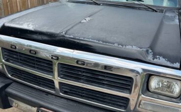 Dodge-w250-diesel-1993-black-19
