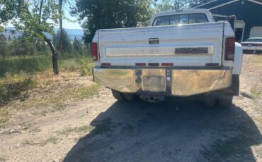 Dodge-w350-diesel-1990-white-15