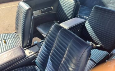 Doge-charger-1966-blue-6