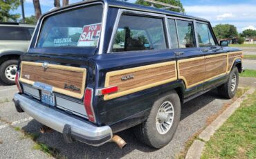 Eep-grand-wagoneer-1988-3