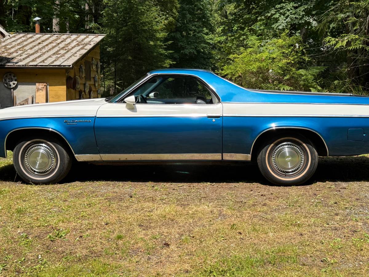 El-camino-classic-1976-blue-4