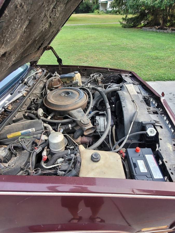 Elcamino-royal-knight-1983-red-5