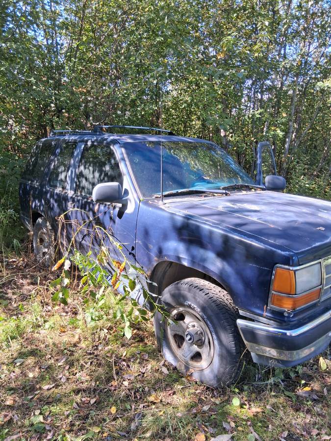 Explorer-1993-blue-1