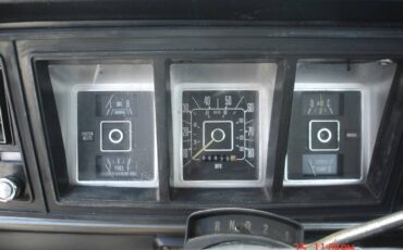 F-150-custom-1979-grey-10