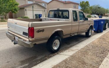 F-150-super-cab-xlt-4x4-5.8-automatic-1993-brown-3