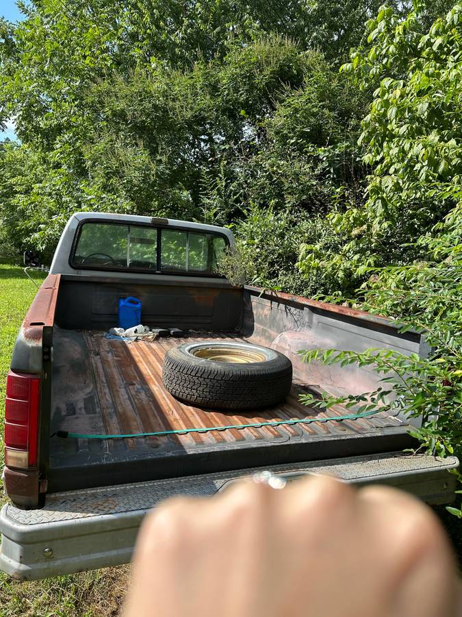 F150-1986-custom-2