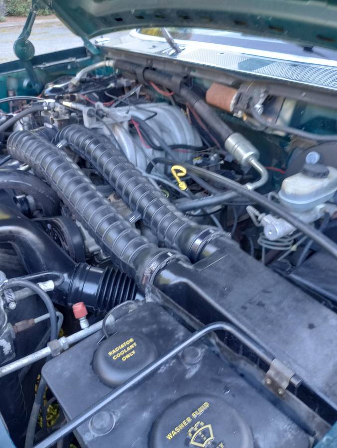 F150-long-bed-1993-green-8