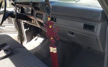 F250-2wd-6.-9-i.-d.-i-diesel-1985-grey-1