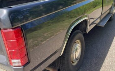 F250-2wd-6.-9-i.-d.-i-diesel-1985-grey-2