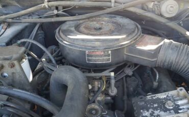F250-2wd-6.-9-i.-d.-i-diesel-1985-grey-8