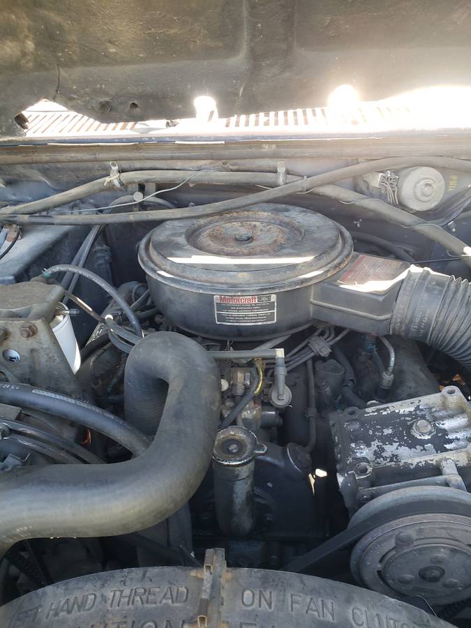 F250-2wd-6.-9-i.-d.-i-diesel-1985-grey-8