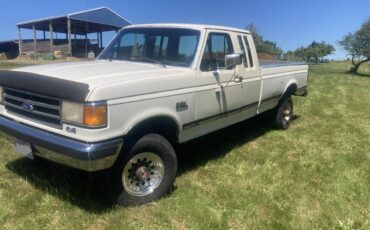 F250-4x4-ford-truck-1991-white-1