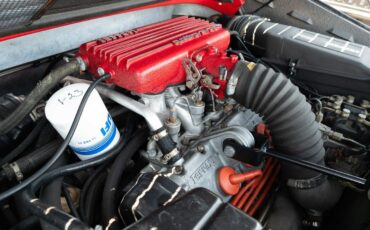 Ferrari-308-1984-Targa-15