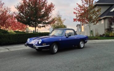 Fiat-850-spider-1972