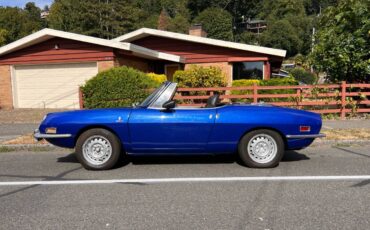 Fiat-850-spider-1972-blue-4