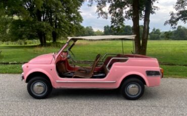 Fiat-Other-1964-Pink-Brown-1