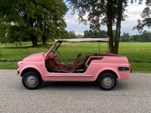 Fiat-Other-1964-Pink-Brown-1