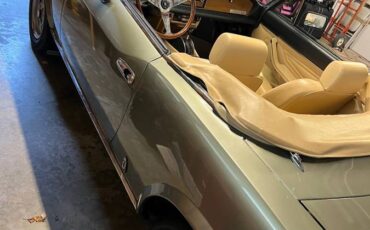 Fiat-spider-124-1981-green-5