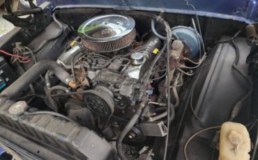 Ford-100-1971-blue-1