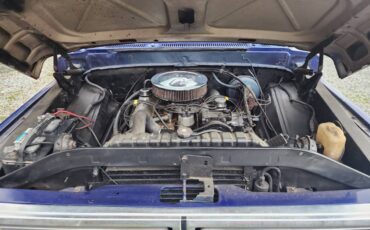 Ford-100-1971-blue-14