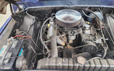 Ford-100-1971-blue-15