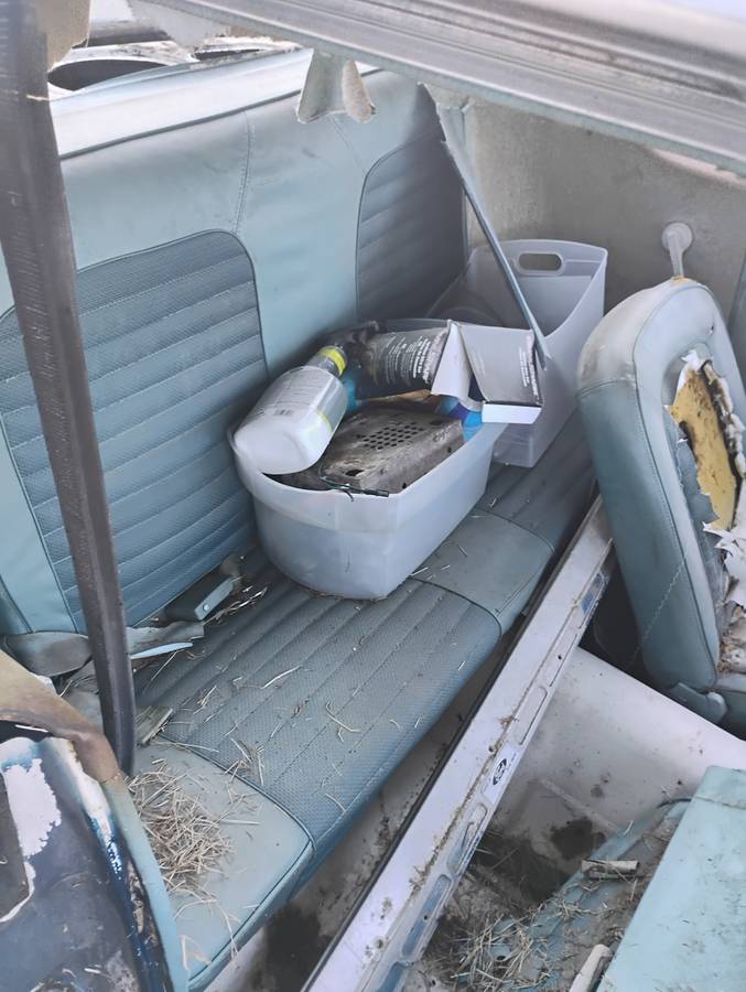 Ford-1966-blue-3