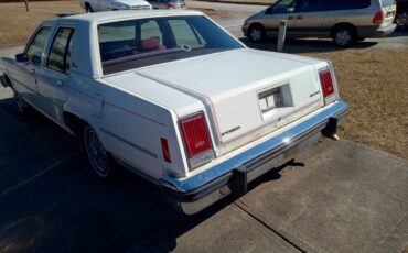 Ford-1981-white-1