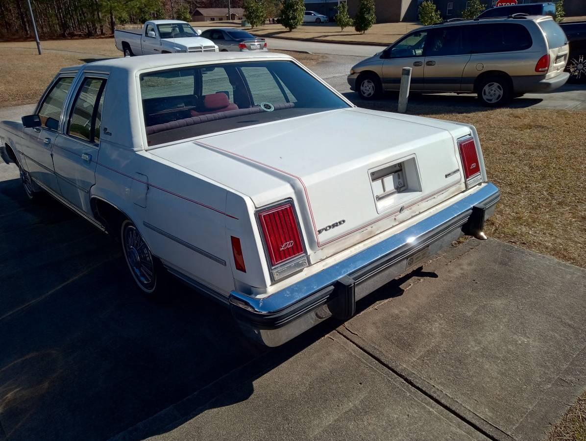 Ford-1981-white-1