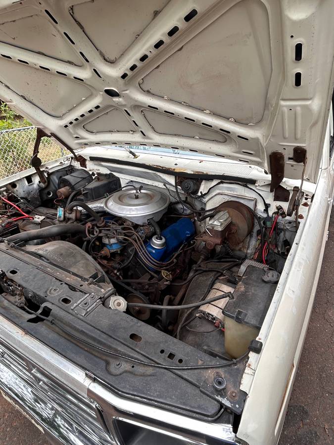 Ford-1981-white-10