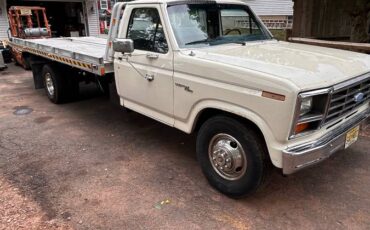 Ford-1981-white-3