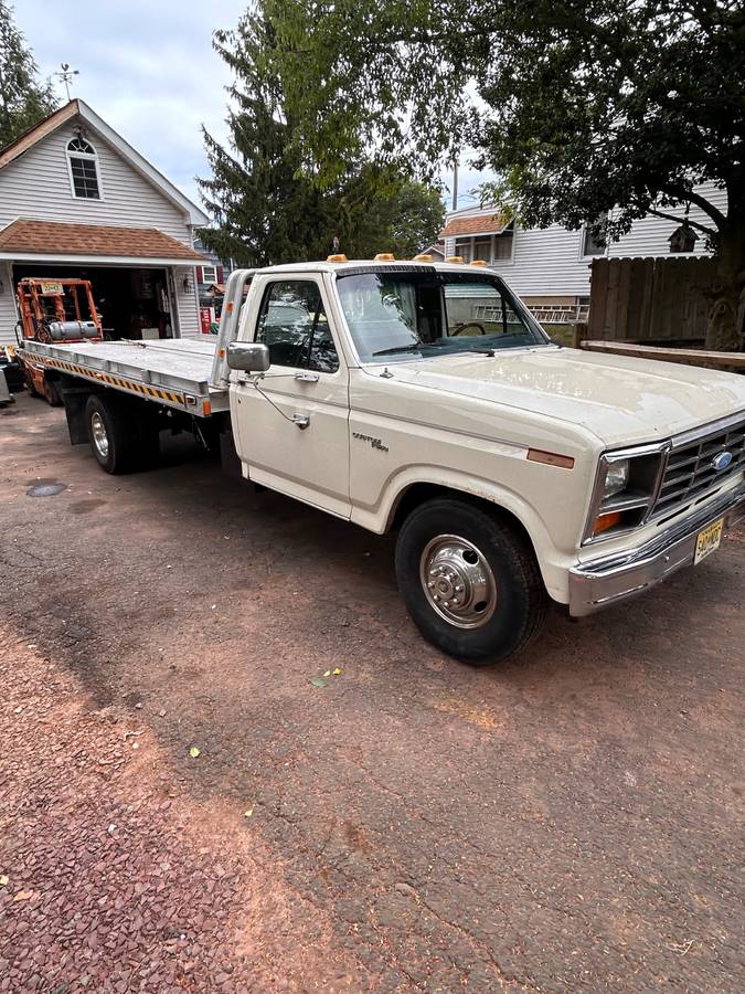 Ford-1981-white-3