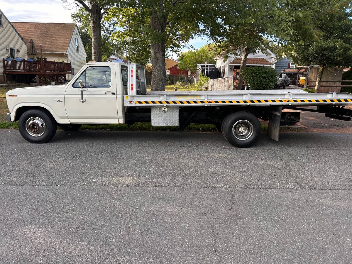 Ford-1981-white-4